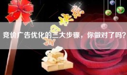 竞价广告优化的三大步骤，你做对了吗？