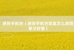 迷你手机包（迷你手机包装盒怎么做简单又好看）