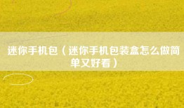 迷你手机包（迷你手机包装盒怎么做简单又好看）