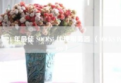 2024 年最佳 SOCKS5 代理服务器 （SOCKS Proxy）