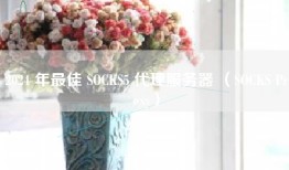 2024 年最佳 SOCKS5 代理服务器 （SOCKS Proxy）
