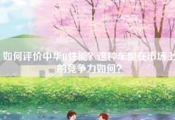如何评价中华H性能？这种车型在市场上的竞争力如何？