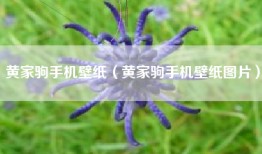 黄家驹手机壁纸（黄家驹手机壁纸图片）