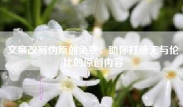 文案改写伪原创免费：助你打造无与伦比的原创内容