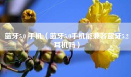 蓝牙5.0 手机（蓝牙5.0手机能兼容蓝牙5.2耳机吗）