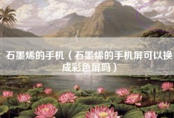 石墨烯的手机（石墨烯的手机屏可以换成彩色屏吗）