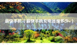 最快手机（最快手机充电器是多少w）