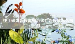 快手磁力智投离婚诉讼广告投放怎么报白