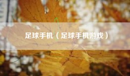 足球手机（足球手机游戏）