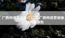 广西网络营销推广公司-广西网络营销推广公司有哪些