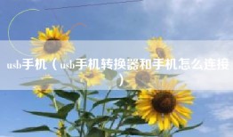 usb手机（usb手机转换器和手机怎么连接）