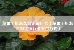 苹果手机怎么绑定银行卡（苹果手机怎么绑定银行卡支付方式）