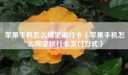 苹果手机怎么绑定银行卡（苹果手机怎么绑定银行卡支付方式）