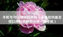 手机号可以呼叫转移吗（手机号码是否可以呼叫转移到另外一部手机）