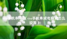 vivo手机未root（vivo手机未成年模式怎么设置）