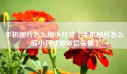 手机图片怎么缩小尺寸（手机图片怎么缩小尺寸做微信头像）