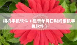 相机手机软件（显示年月日时间相机手机软件）