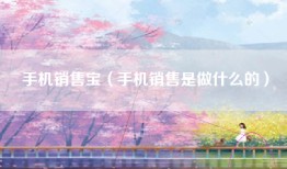 手机销售宝（手机销售是做什么的）