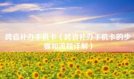 跨省补办手机卡（跨省补办手机卡的步骤和流程详解）