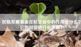 民航发展基金在航空业中的作用是什么？它如何促进行业发展？
