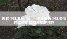 揭秘小红书App推广，深度解析小红书推广渠道的精髓与实战技巧