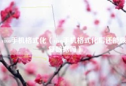 vivo手机格式化（vivo手机格式化后还能恢复数据吗）