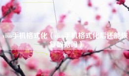 vivo手机格式化（vivo手机格式化后还能恢复数据吗）