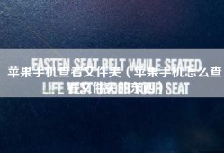 苹果手机查看文件夹（苹果手机怎么查看文件夹的东西）