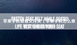 苹果手机查看文件夹（苹果手机怎么查看文件夹的东西）