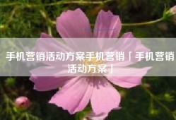手机营销活动方案手机营销「手机营销活动方案」