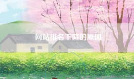 网站排名下降的原因