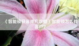 （智能锁获客推广攻略）智能锁怎么找客户？