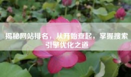揭秘网站排名，从开始查起，掌握搜索引擎优化之道
