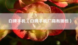 白牌手机（白牌手机厂商有哪些）