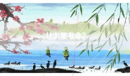 什么是老金？
