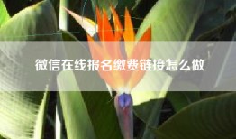 微信在线报名缴费链接怎么做