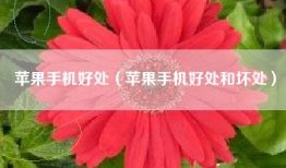 苹果手机好处（苹果手机好处和坏处）