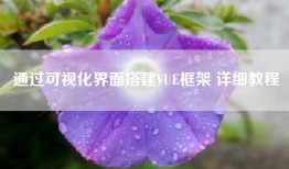 通过可视化界面搭建VUE框架 详细教程