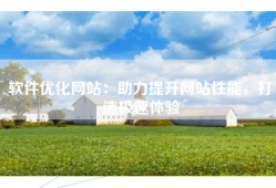 软件优化网站：助力提升网站性能，打造极速体验