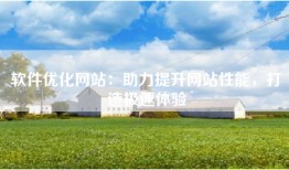 软件优化网站：助力提升网站性能，打造极速体验