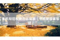 手机短信权限怎么设置（手机里设置短信）