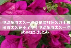电动车放太久一冲就是绿灯怎么办手机闲置太久充不了电「电动车放太久一冲就是绿灯怎么办」