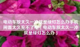 电动车放太久一冲就是绿灯怎么办手机闲置太久充不了电「电动车放太久一冲就是绿灯怎么办」