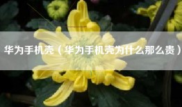 华为手机壳（华为手机壳为什么那么贵）