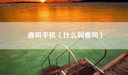 睿风手机（什么叫睿风）