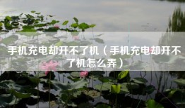 手机充电却开不了机（手机充电却开不了机怎么弄）