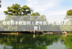 老年机手机密码（老年机手机密码怎么查）