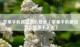 苹果手机微信怎么登录（苹果手机微信怎么登录不上去）