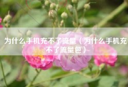 为什么手机充不了流量（为什么手机充不了流量包）
