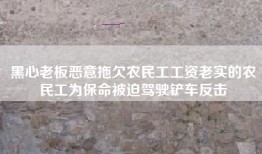 黑心老板恶意拖欠农民工工资老实的农民工为保命被迫驾驶铲车反击